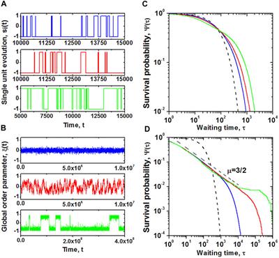 The Fractal Tapestry of Life: II Entailment of Fractional Oncology by Physiology Networks